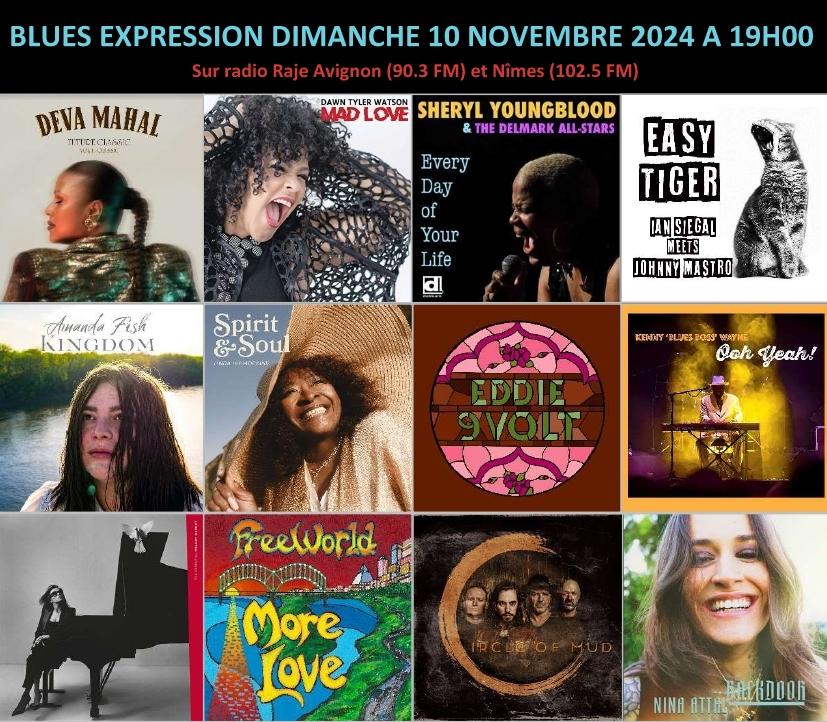 Blues Expression Novembre 2024 Agenda Concerts & Nouveaux Albums